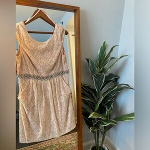 Size 16 Blush Lace Dress